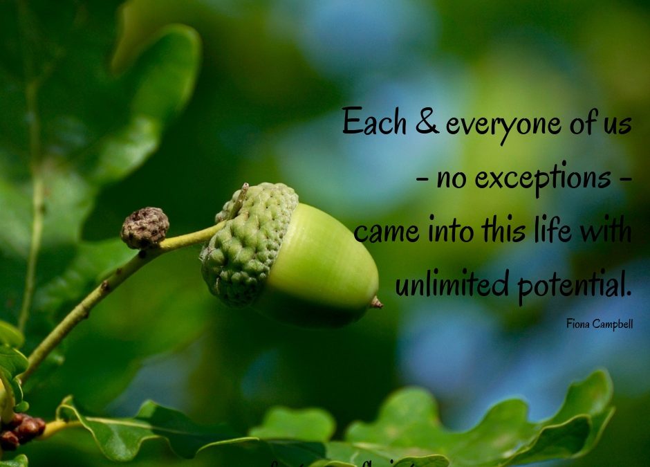 What seeds of unlimited potential are inside of you just waiting patiently to be discovered?