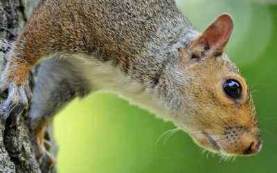 The Wisdom of Autumn — Why Turning Inwards Is Part of Growing